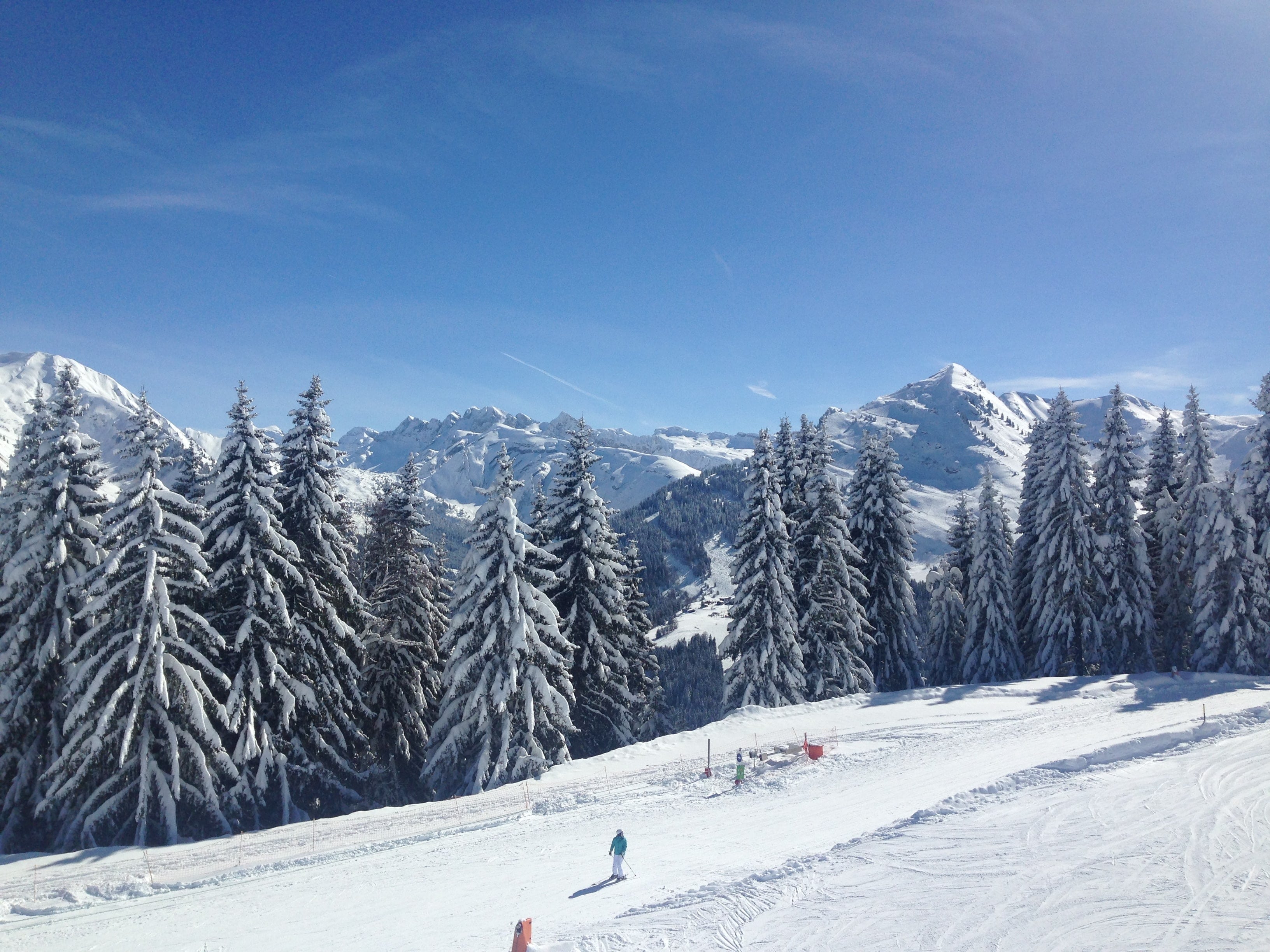 Portes du Soleil Ski Area R&S Chalet Collection